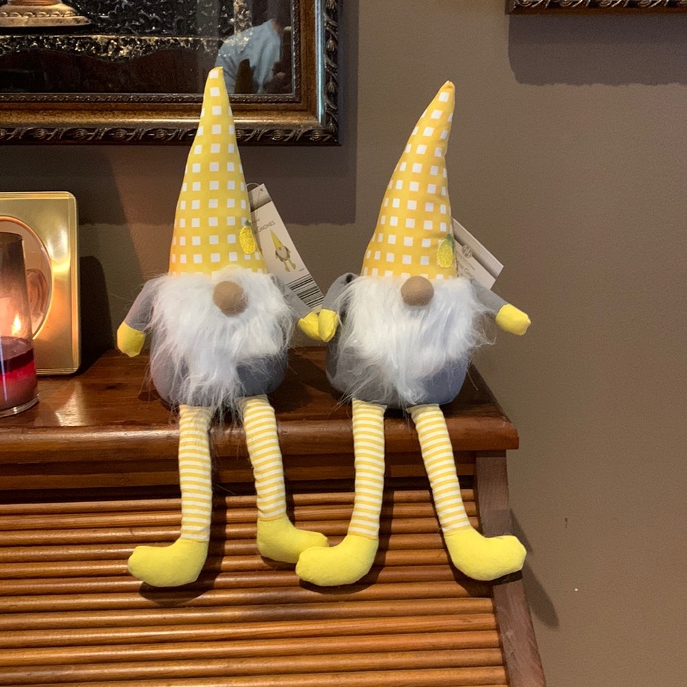 NWT 16” Gnomes